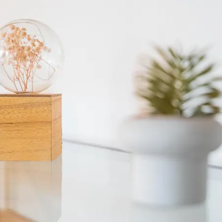 Guestready - Charming Cosy * بورتو